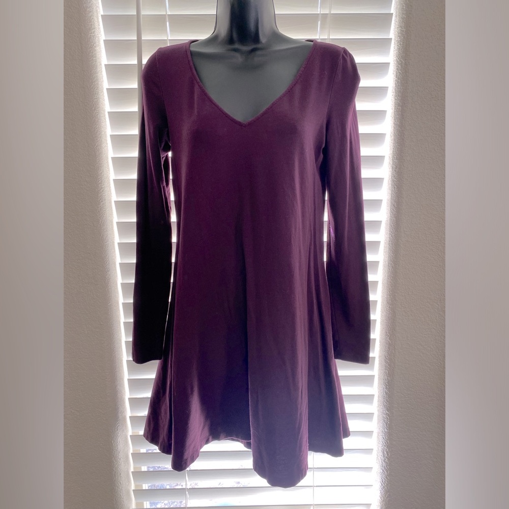 Express Long Sleeve Mulberry Dress